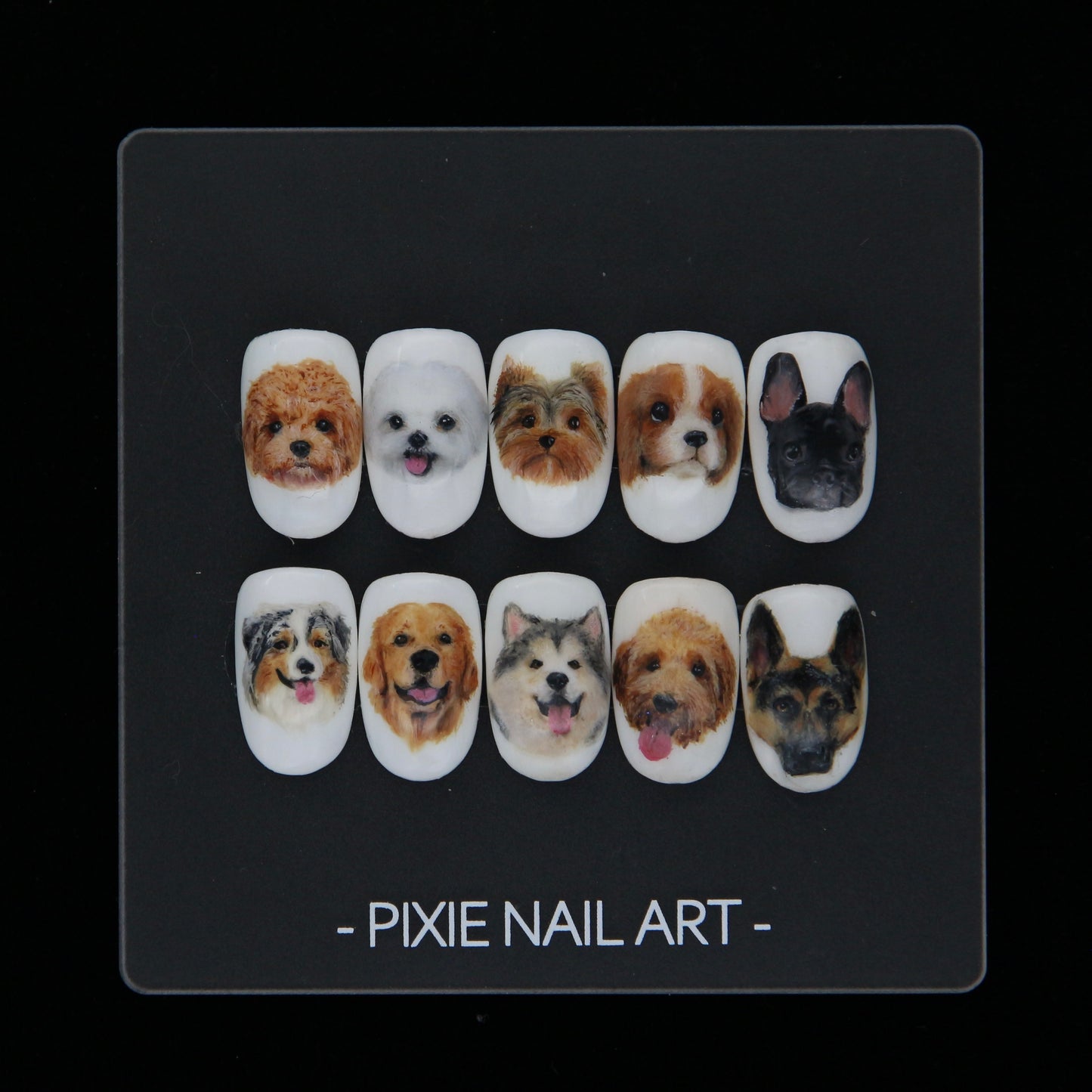 Pet Custom